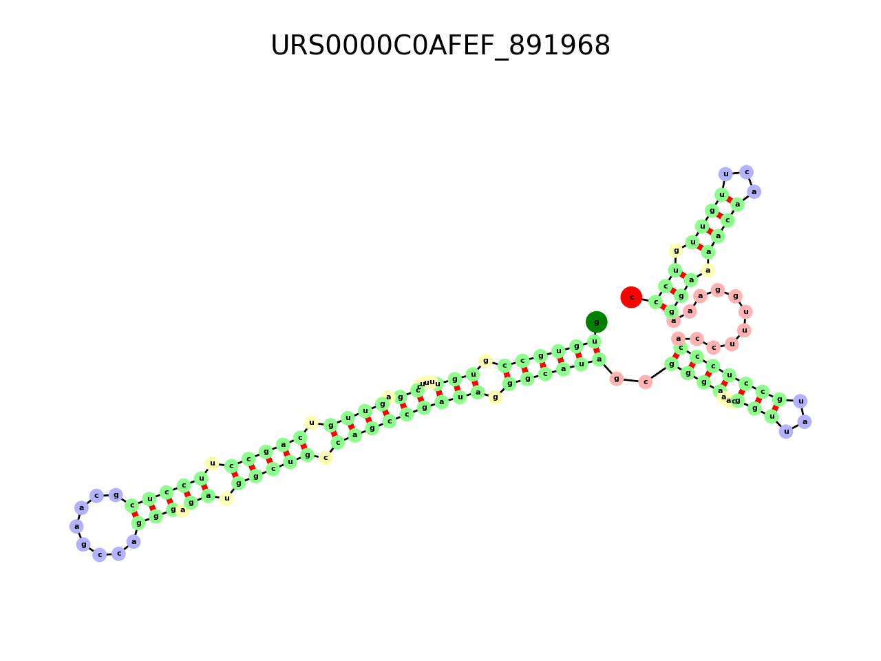 image of the secondary structure of the first Riboswitch match