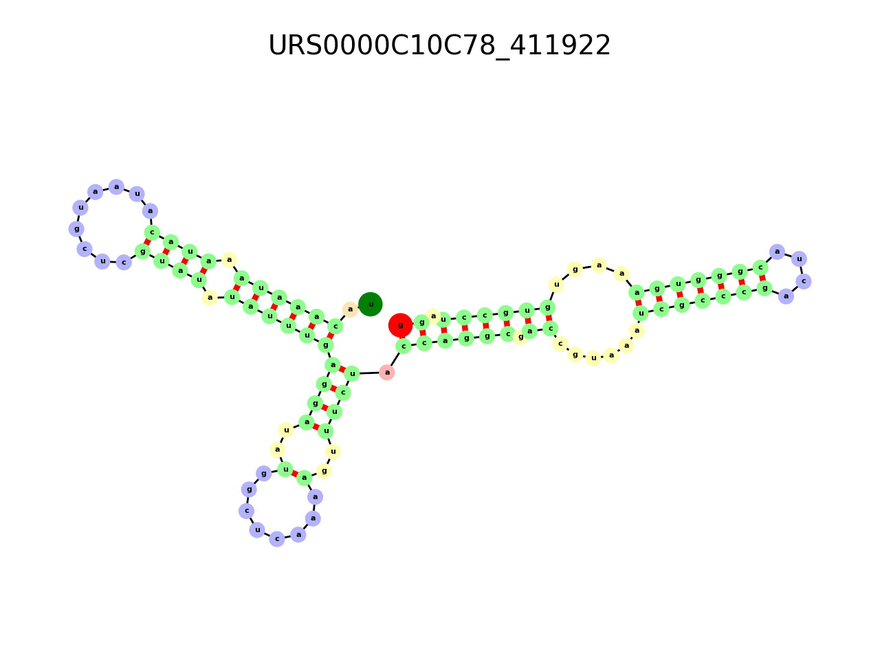 image of the secondary structure of the second Riboswitch match