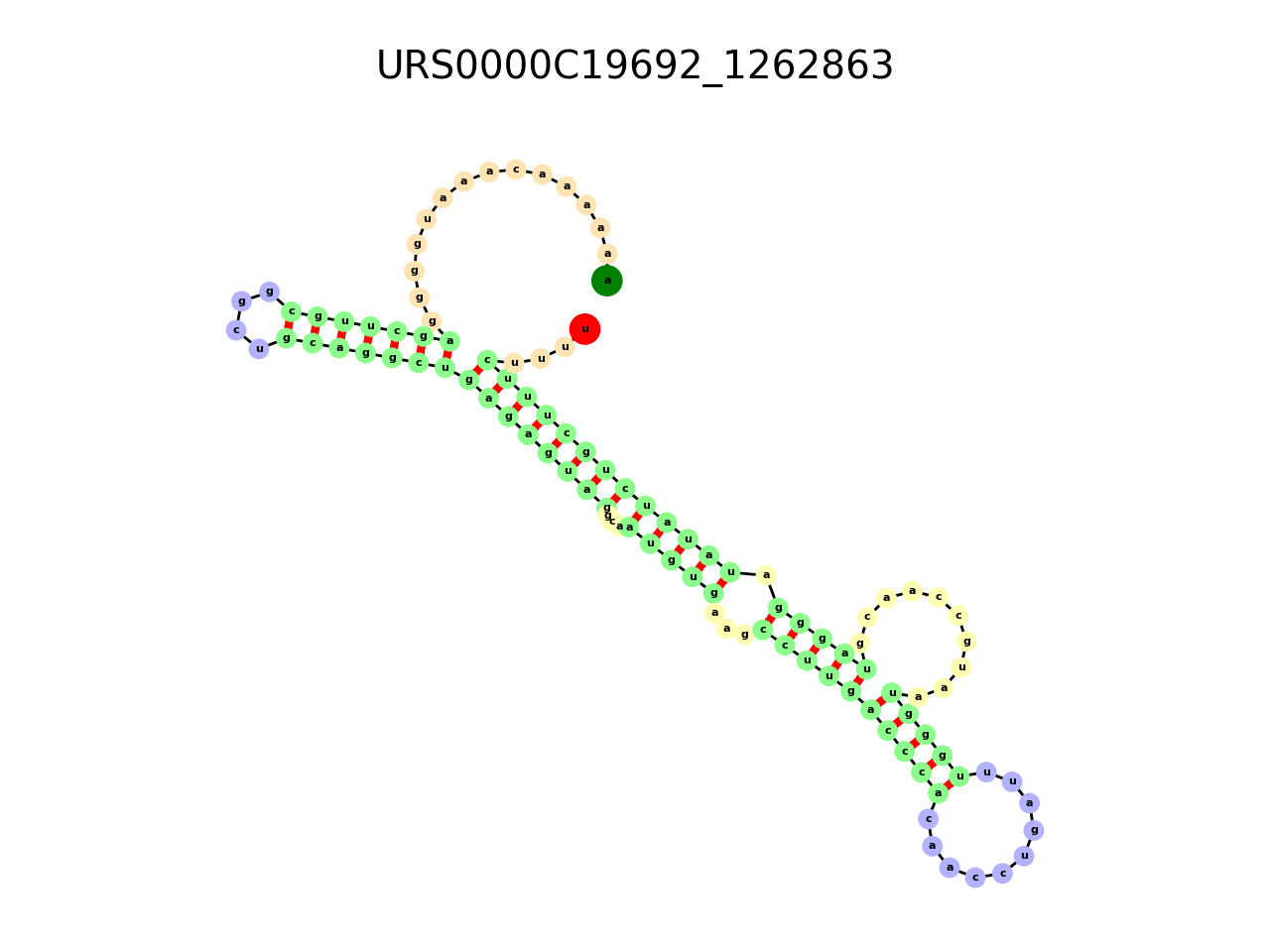 image of the secondary structure of the third Riboswitch match