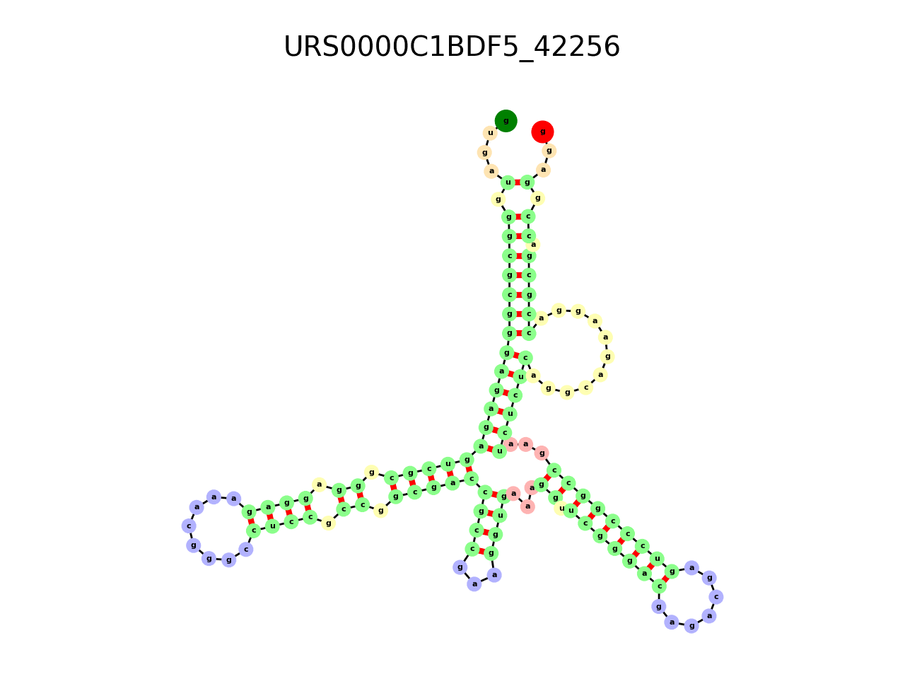 image of the secondary structure of the third Riboswitch match