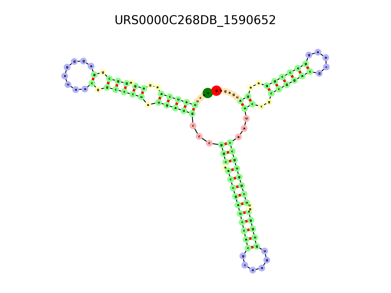 image of the secondary structure of the second Riboswitch match
