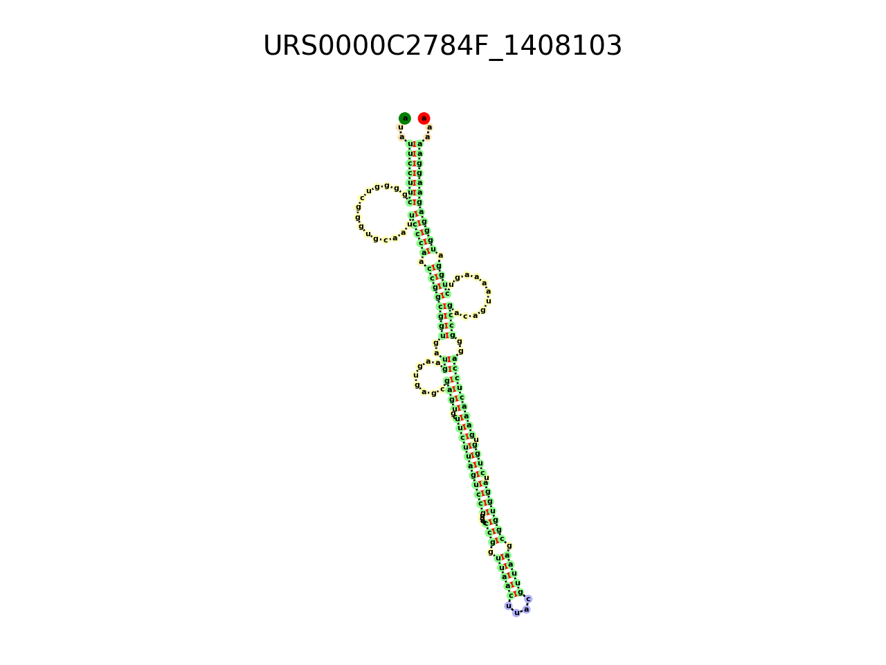 image of the secondary structure of the third Riboswitch match