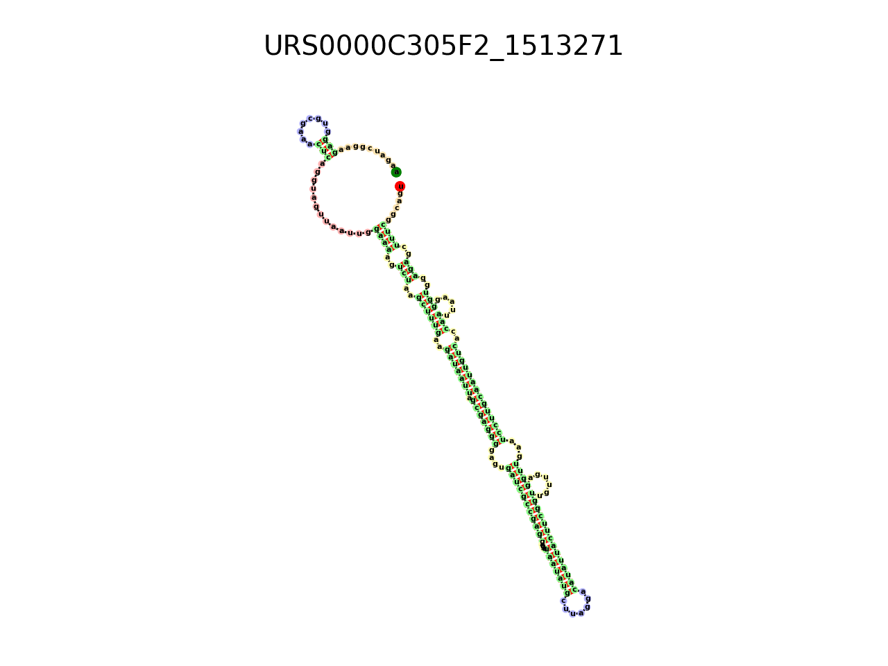 image of the secondary structure of the third Riboswitch match