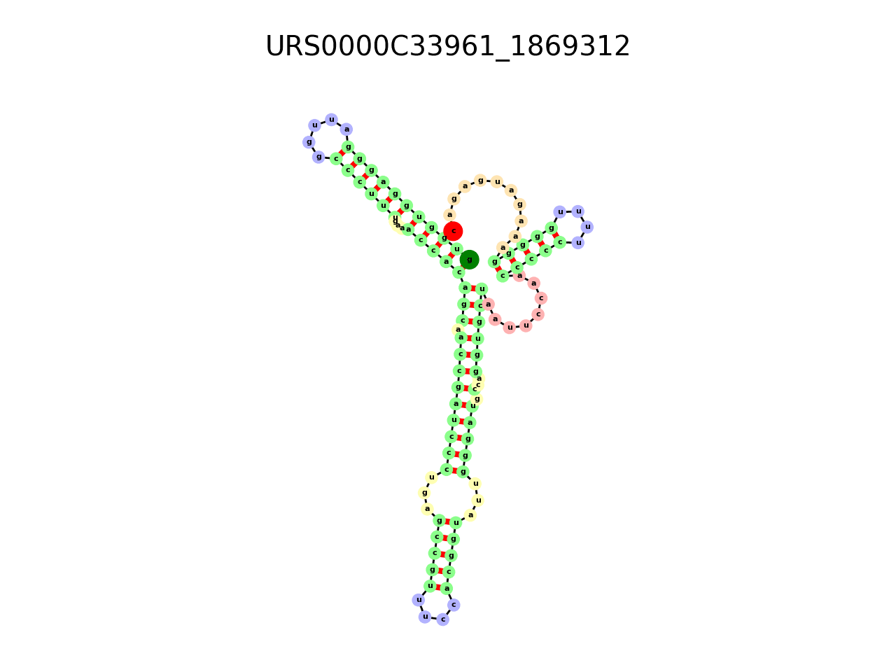 image of the secondary structure of the first Riboswitch match