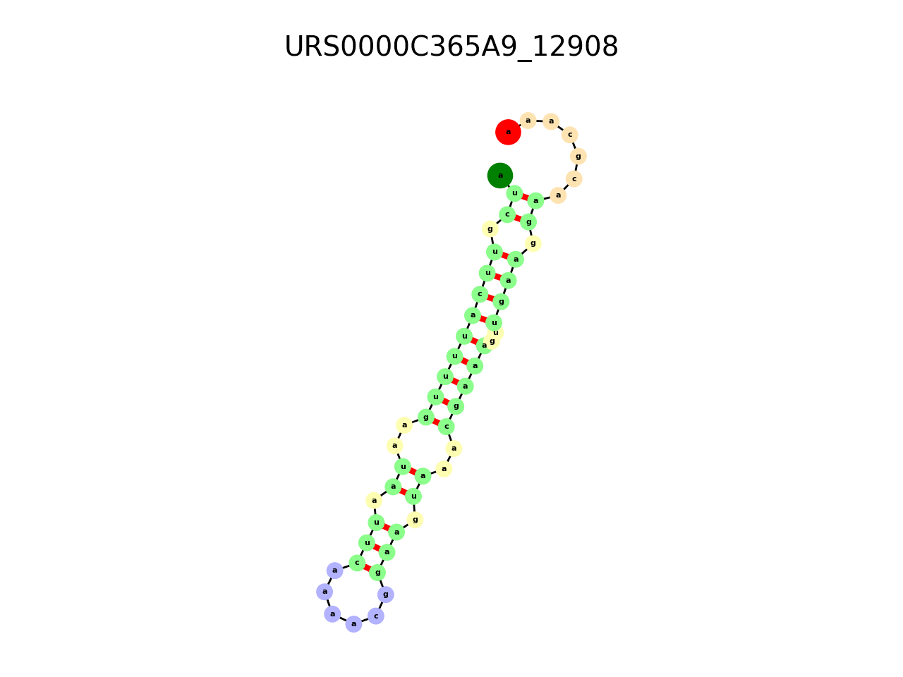 image of the secondary structure of the second Riboswitch match