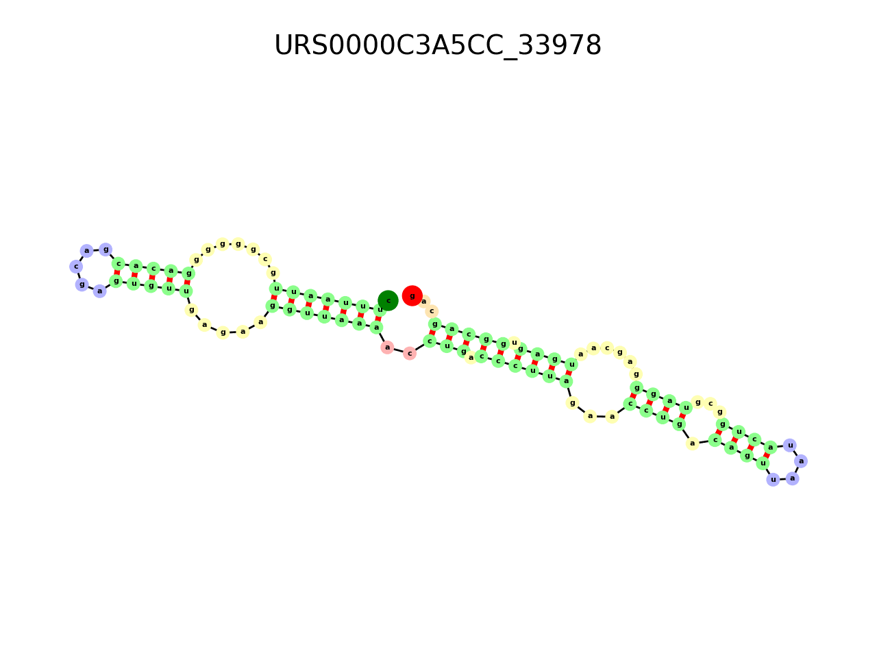 image of the secondary structure of the second Riboswitch match