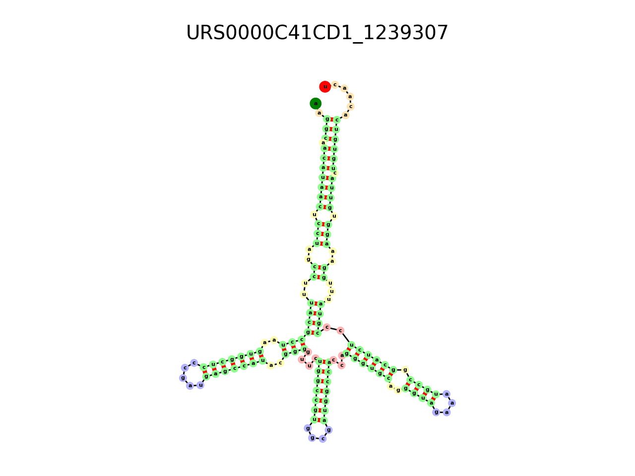 image of the secondary structure of the first Riboswitch match