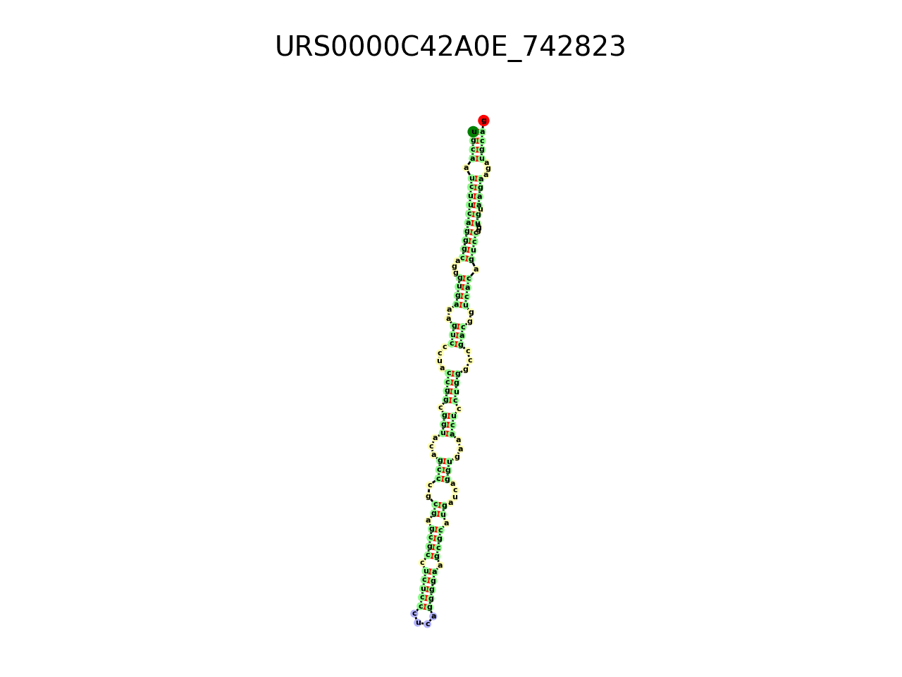 image of the secondary structure of the first Riboswitch match