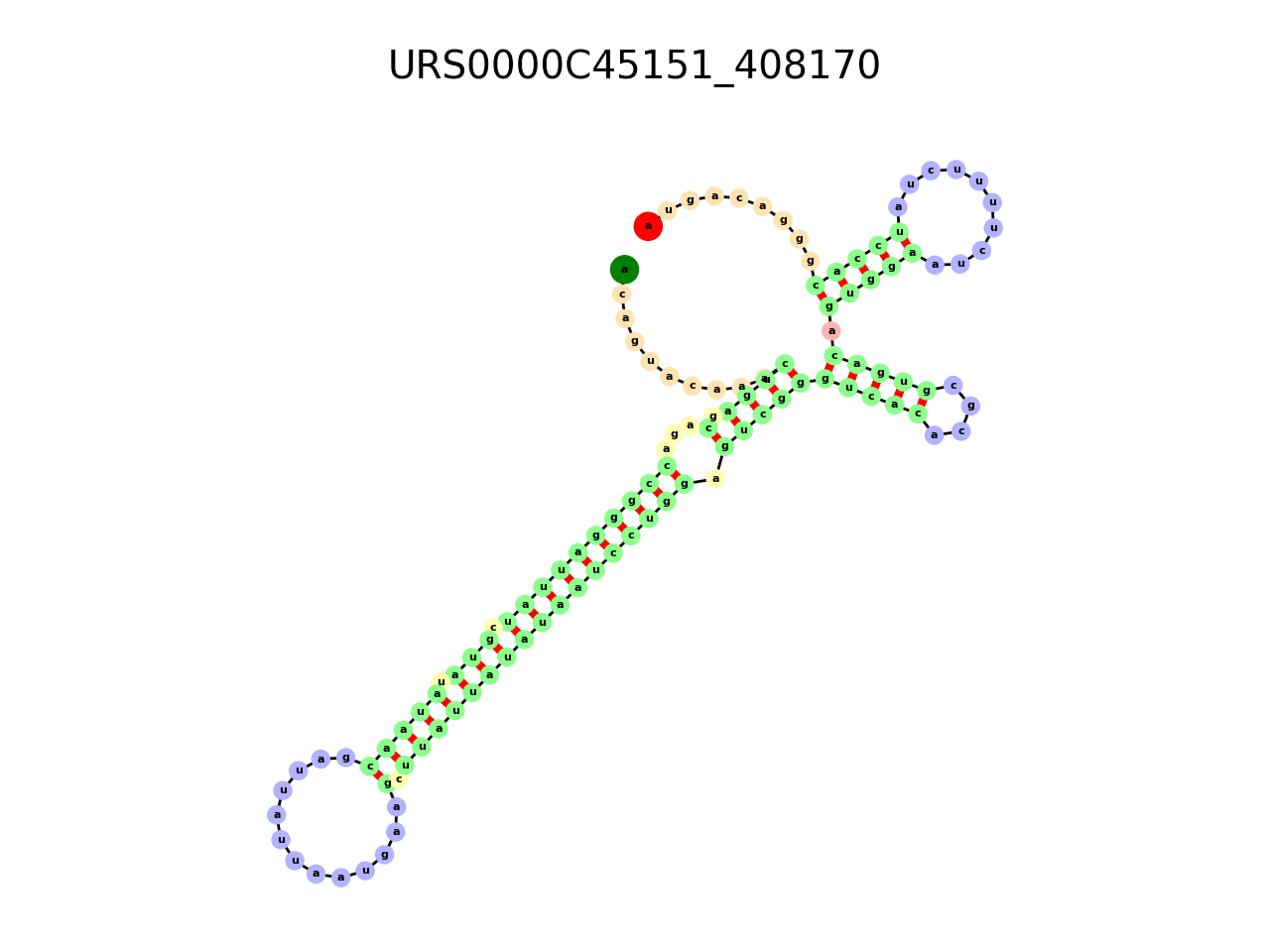 image of the secondary structure of the second Riboswitch match