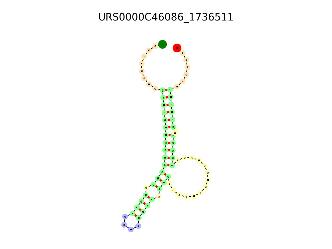 image of the secondary structure of the first Riboswitch match