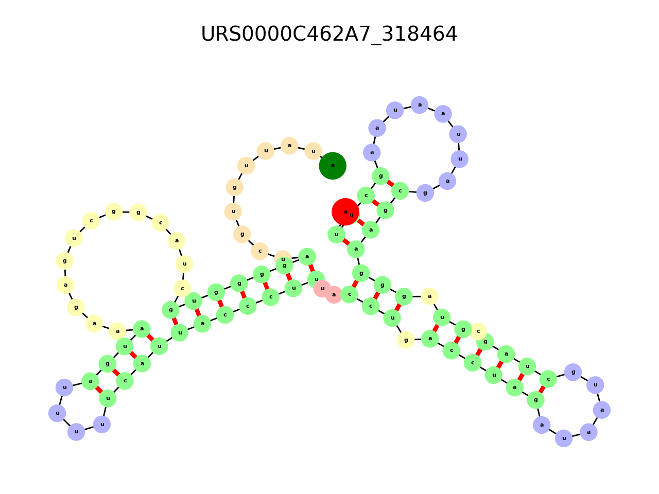 image of the secondary structure of the third Riboswitch match
