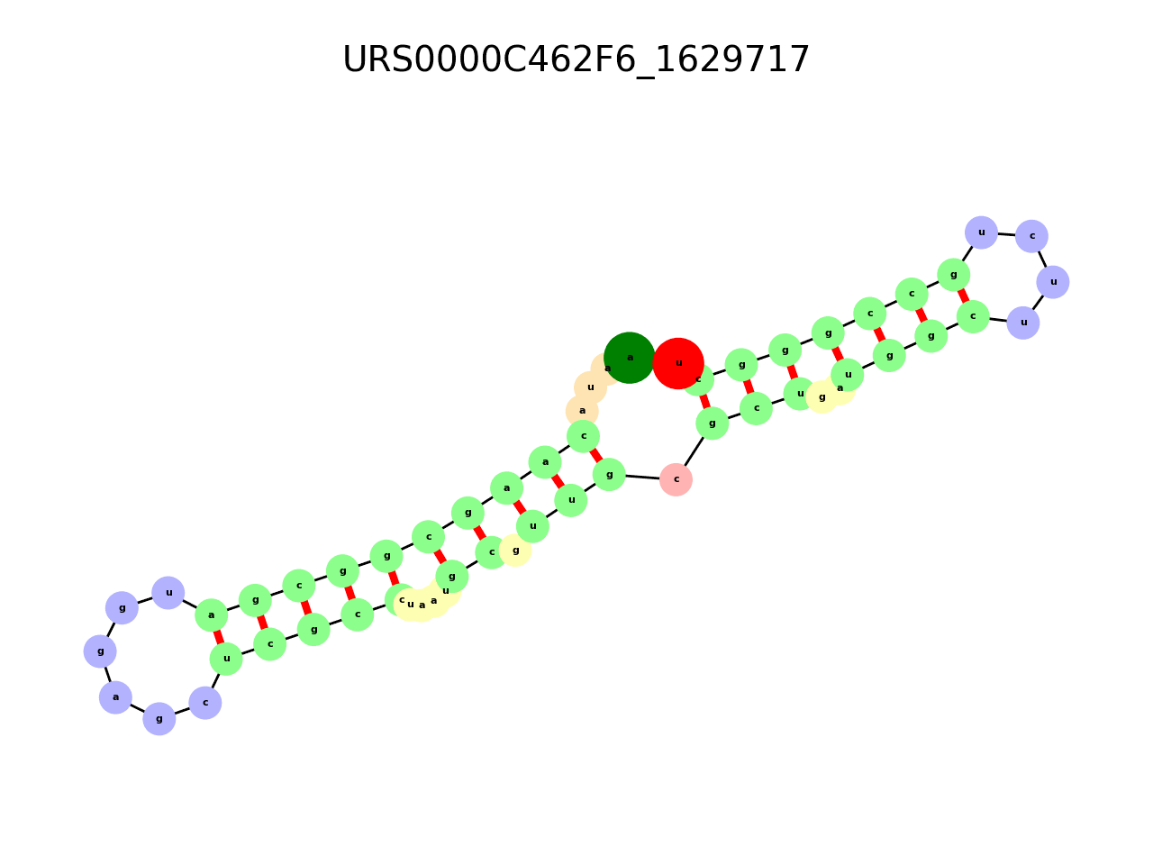 image of the secondary structure of the first Riboswitch match