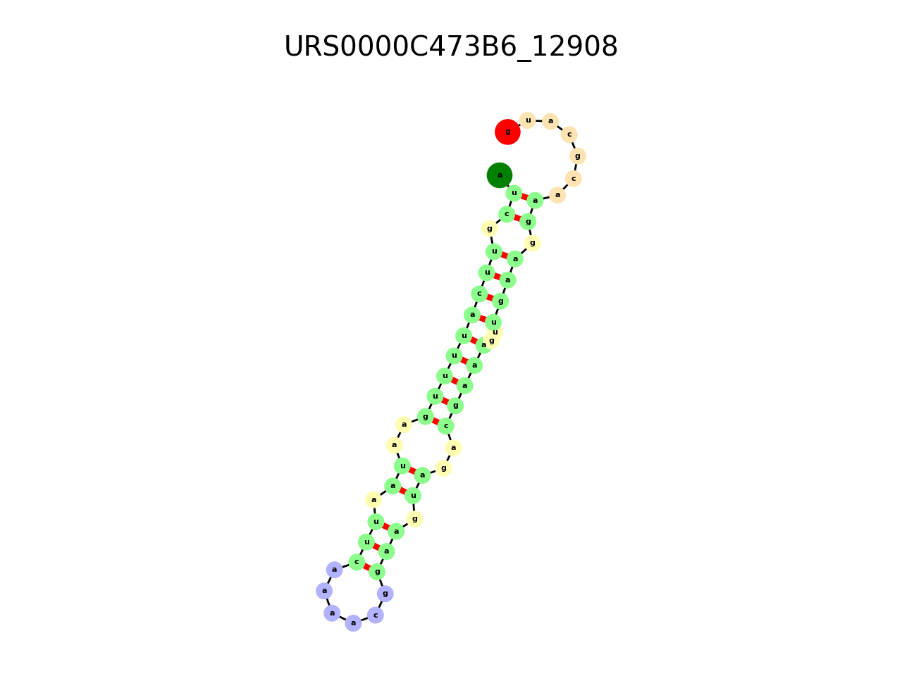 image of the secondary structure of the third Riboswitch match