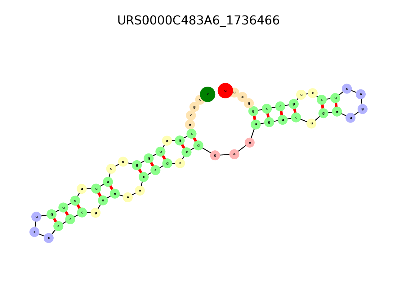 image of the secondary structure of the first Riboswitch match