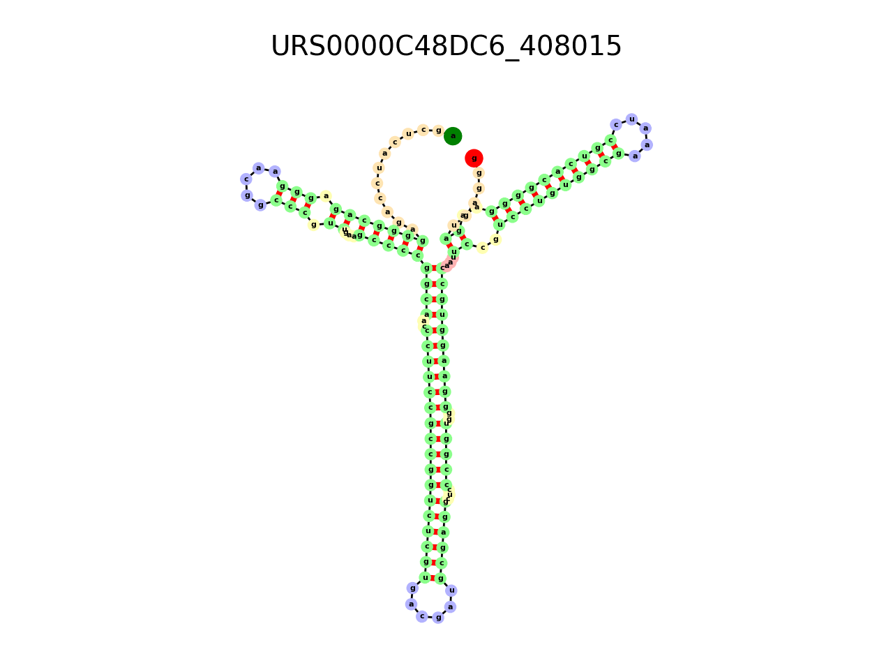 image of the secondary structure of the third Riboswitch match