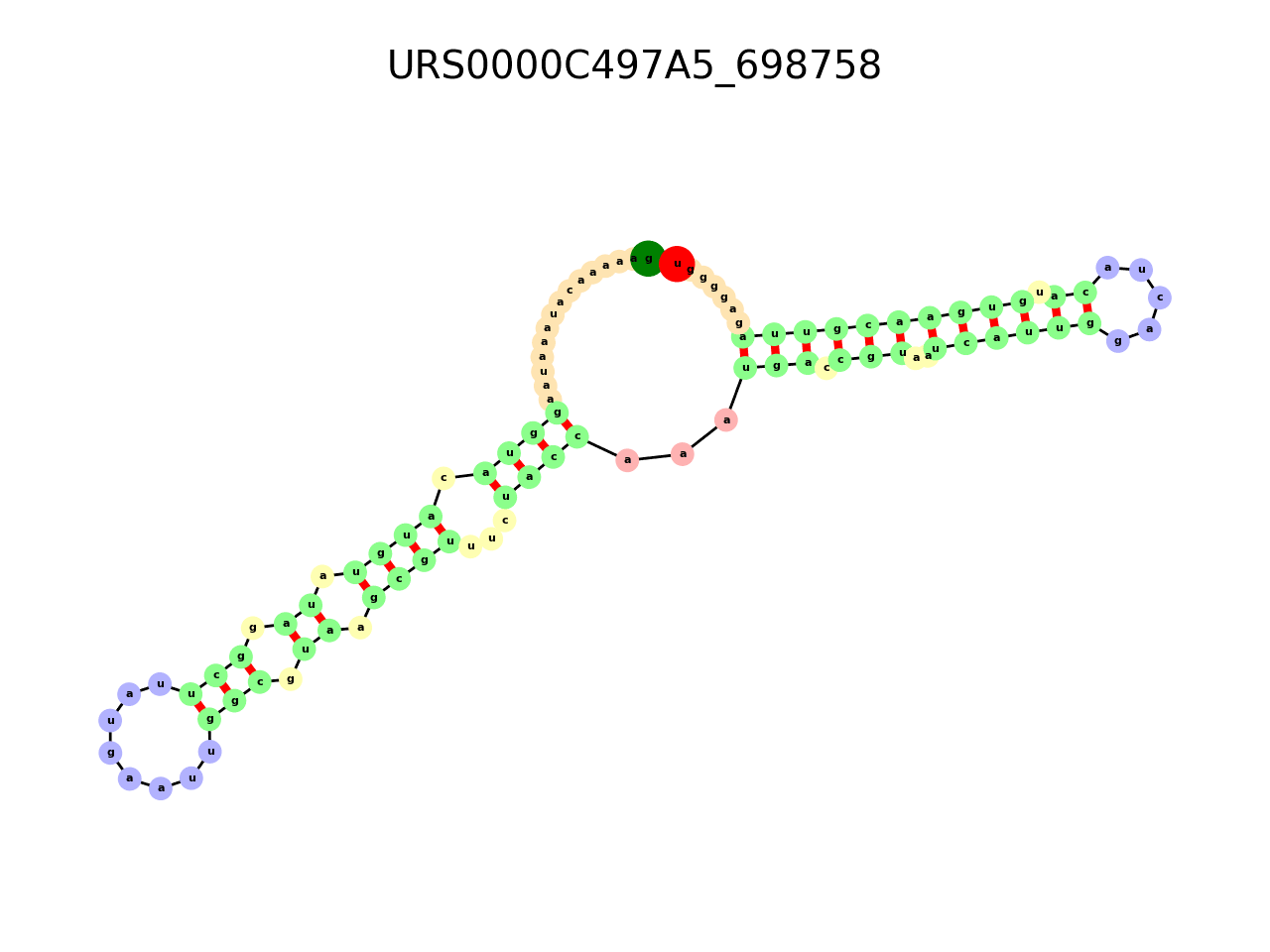 image of the secondary structure of the first Riboswitch match