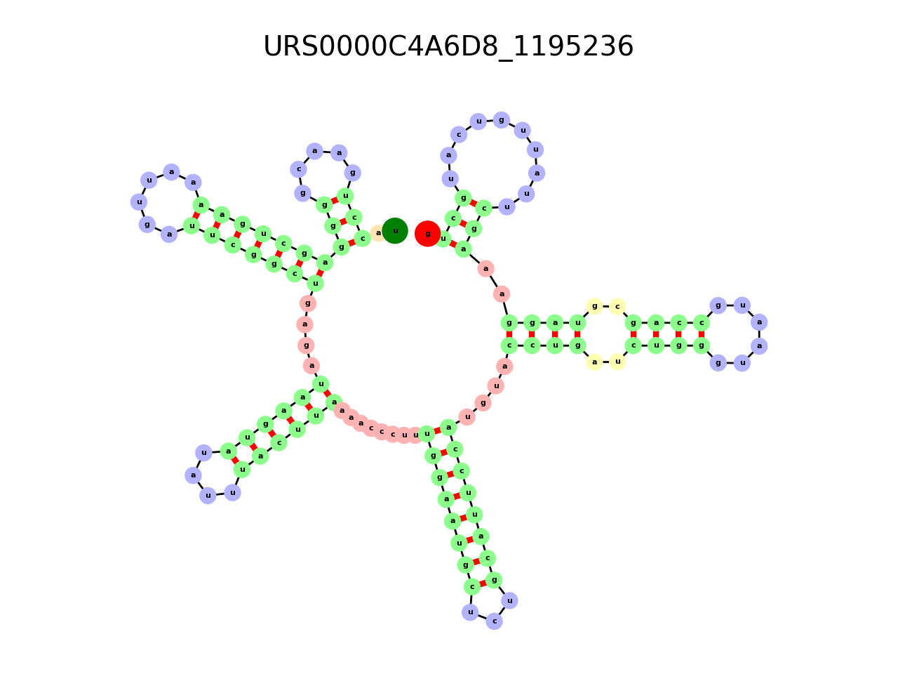 image of the secondary structure of the first Riboswitch match