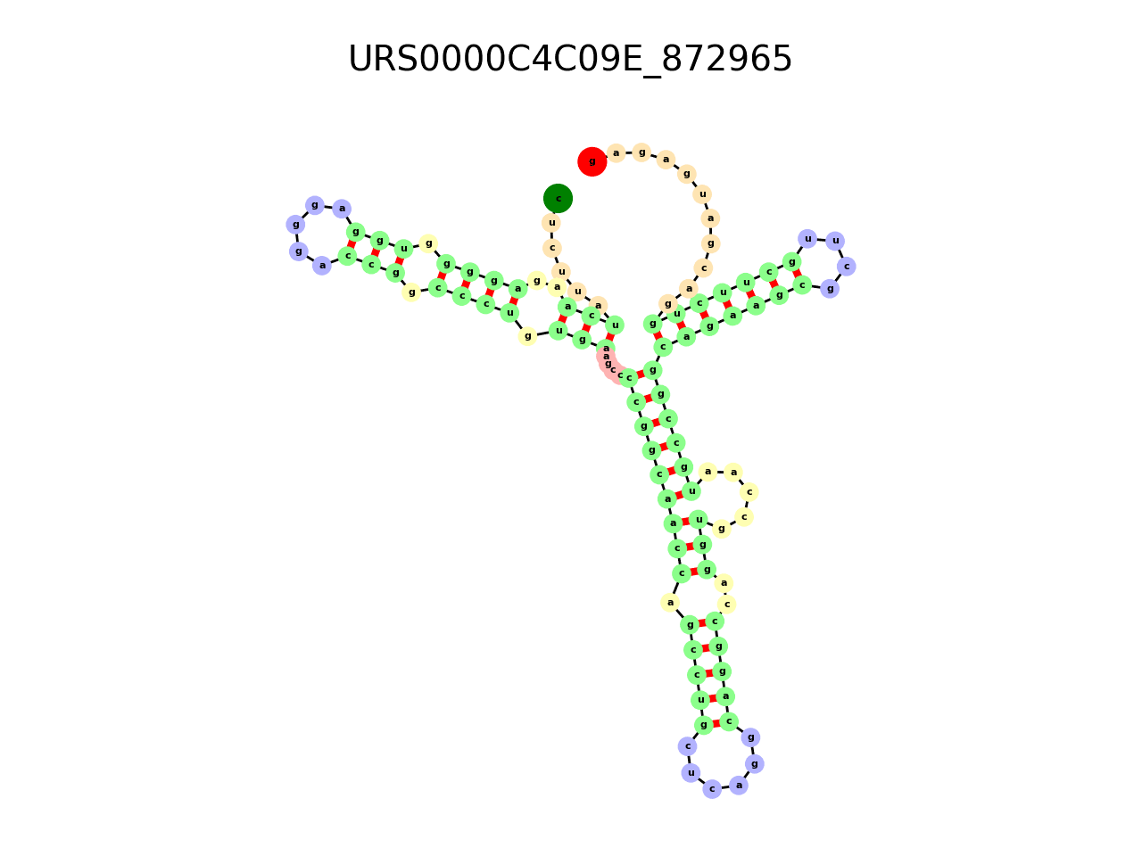 image of the secondary structure of the third Riboswitch match