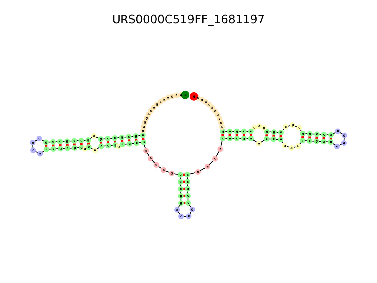 image of the secondary structure of the third Riboswitch match
