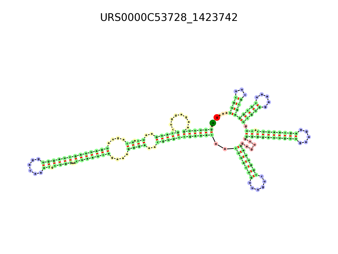 image of the secondary structure of the second Riboswitch match