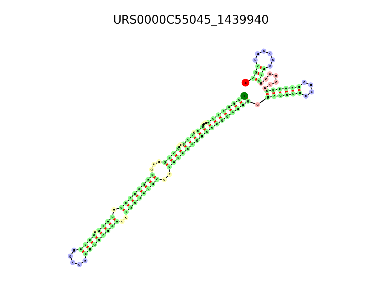 image of the secondary structure of the third Riboswitch match