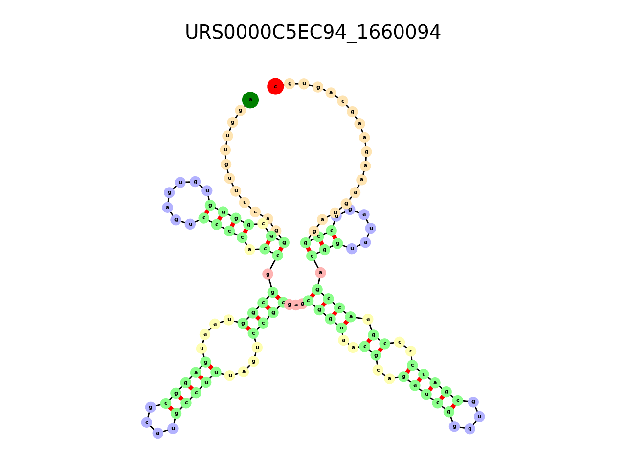 image of the secondary structure of the second Riboswitch match