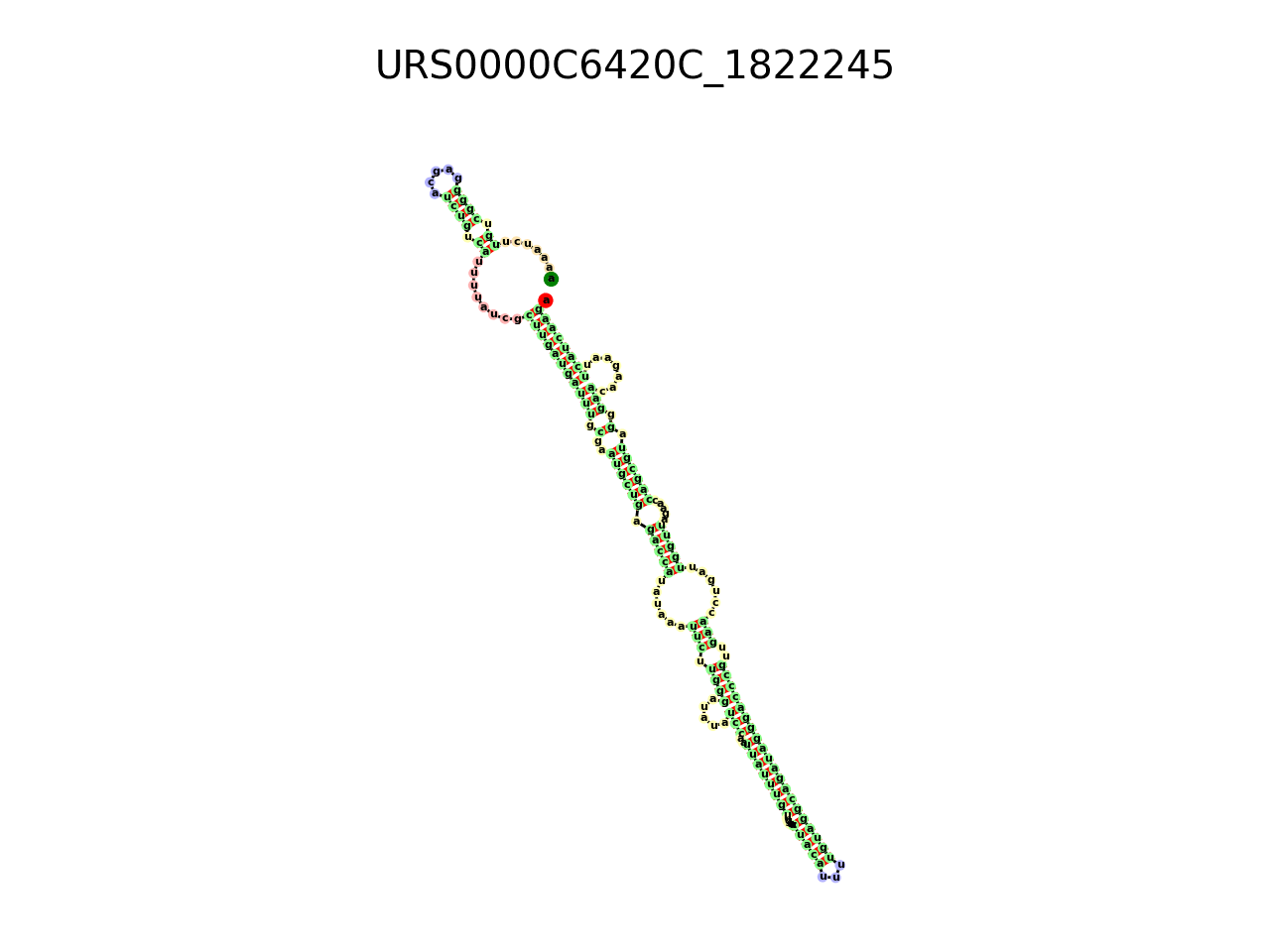 image of the secondary structure of the first Riboswitch match