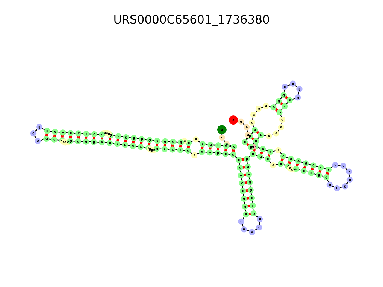 image of the secondary structure of the second Riboswitch match