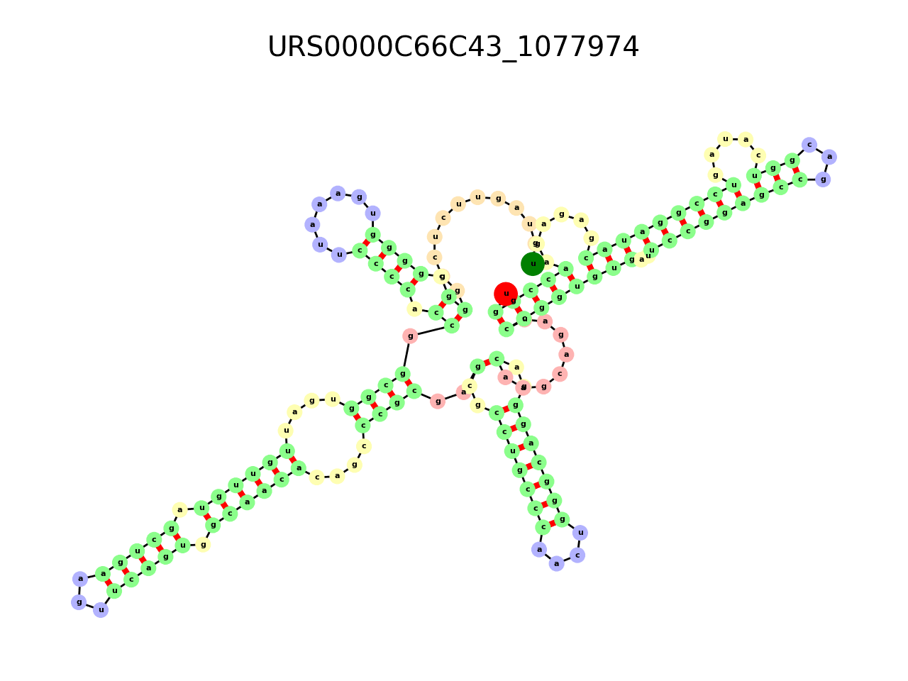 image of the secondary structure of the second Riboswitch match