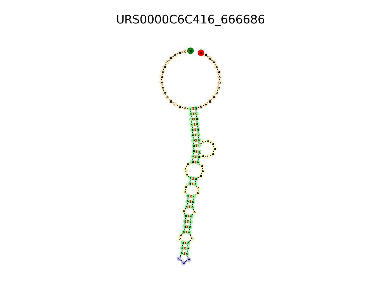 image of the secondary structure of the first Riboswitch match