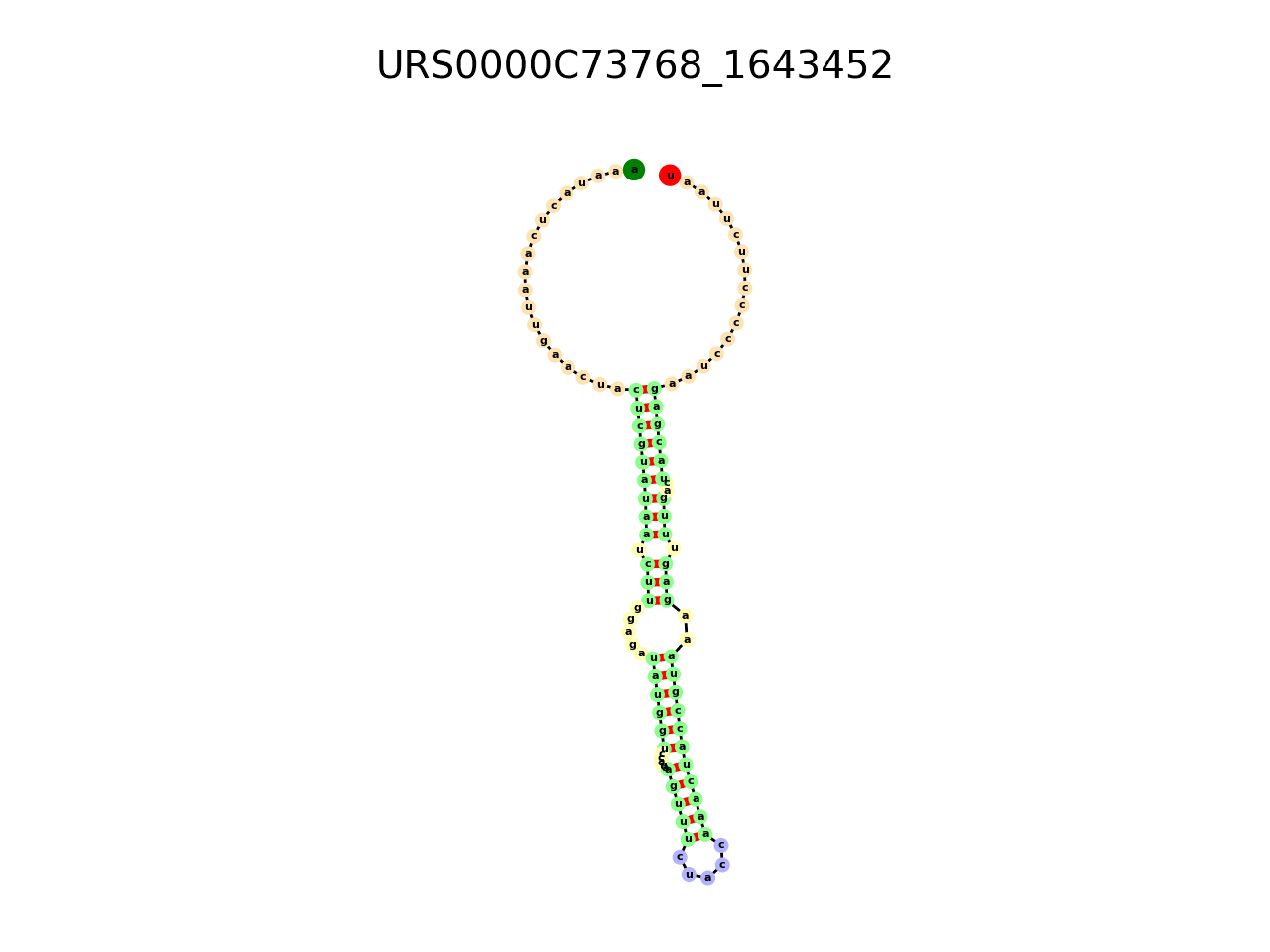 image of the secondary structure of the third Riboswitch match