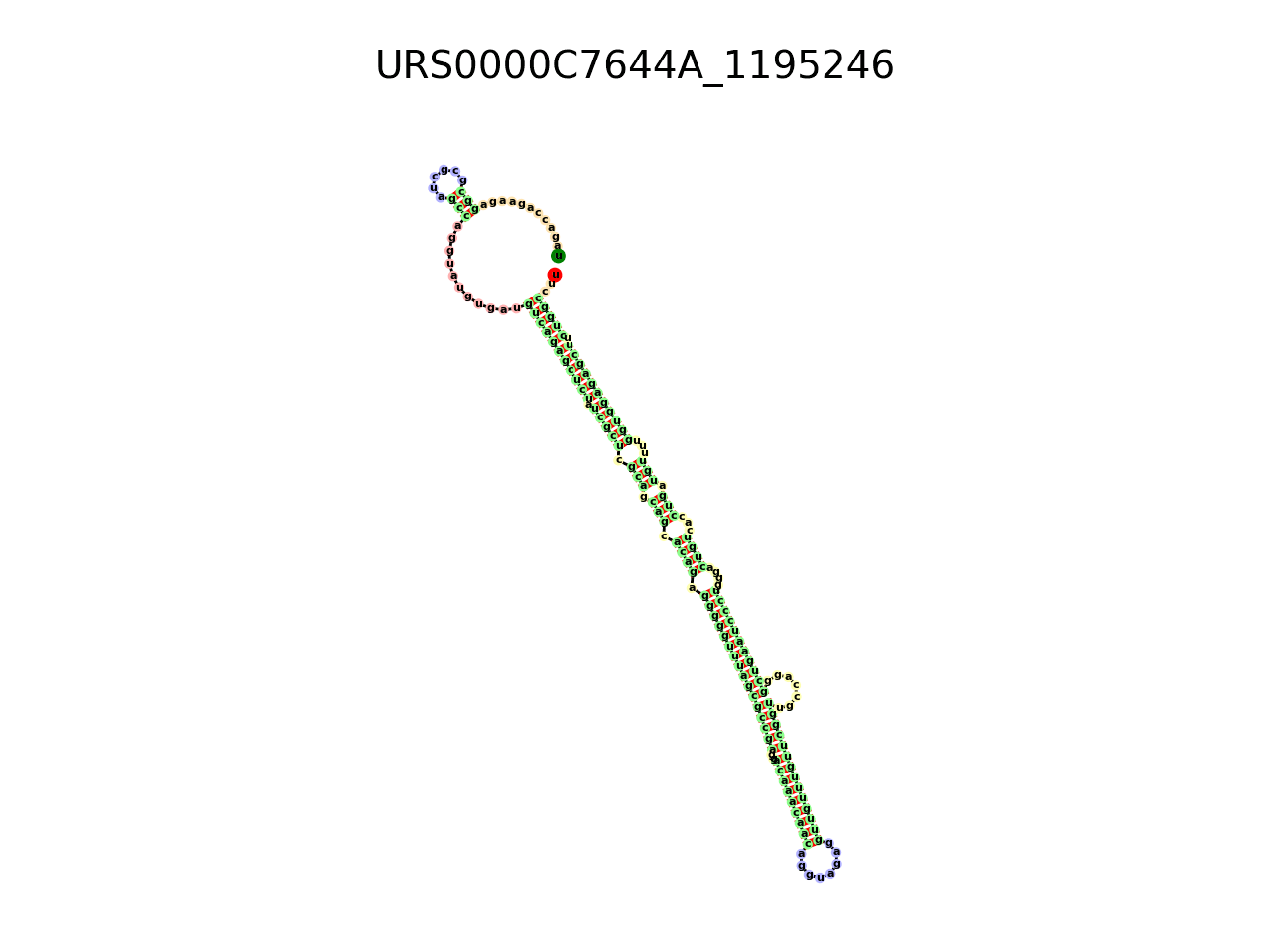 image of the secondary structure of the second Riboswitch match