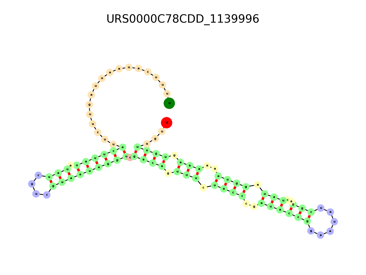 image of the secondary structure of the second Riboswitch match