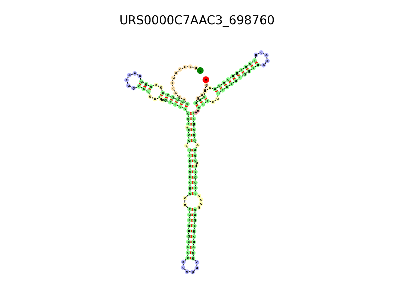 image of the secondary structure of the third Riboswitch match
