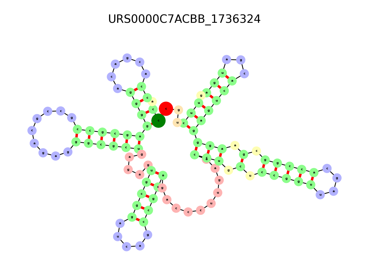 image of the secondary structure of the second Riboswitch match