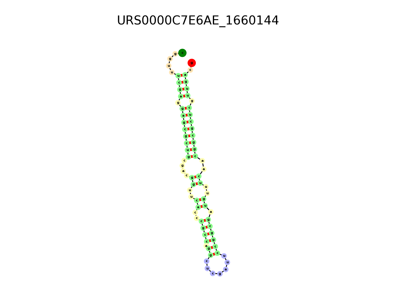 image of the secondary structure of the second Riboswitch match