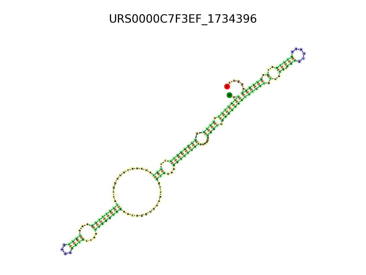image of the secondary structure of the first Riboswitch match