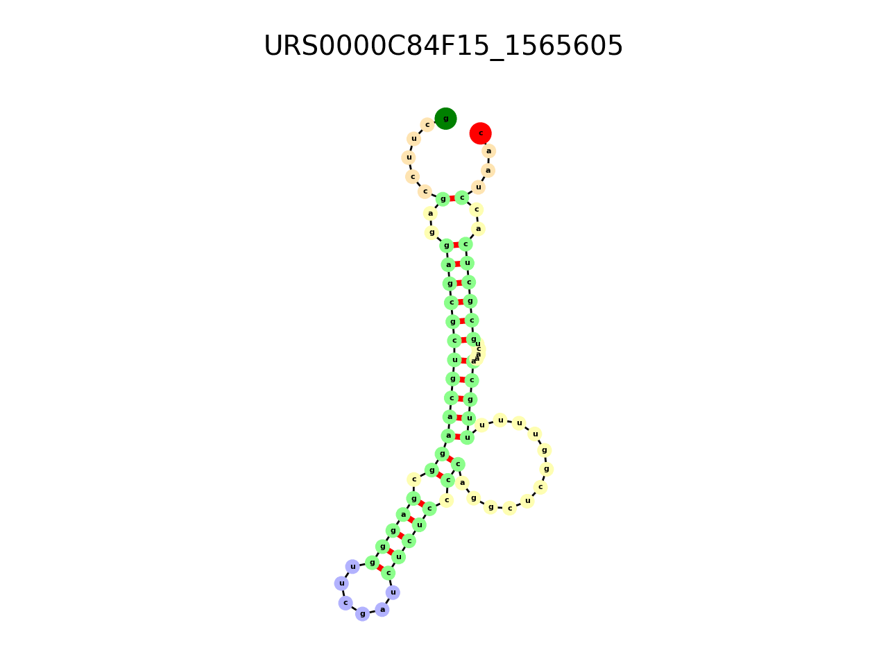 image of the secondary structure of the second Riboswitch match