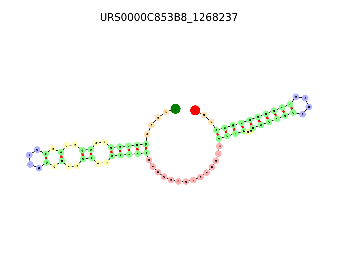 image of the secondary structure of the first Riboswitch match
