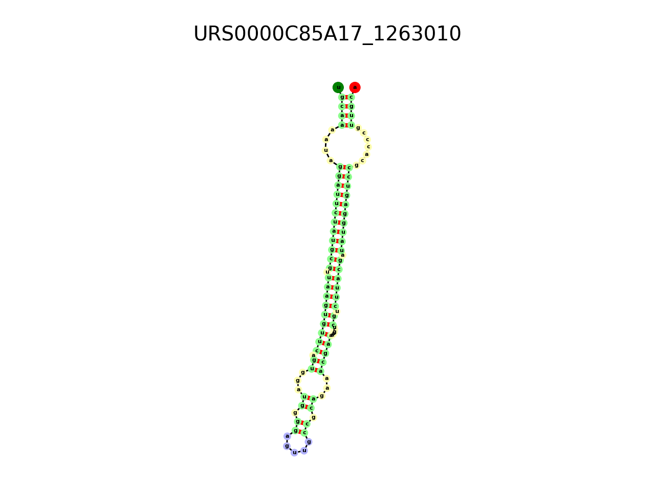 image of the secondary structure of the first Riboswitch match