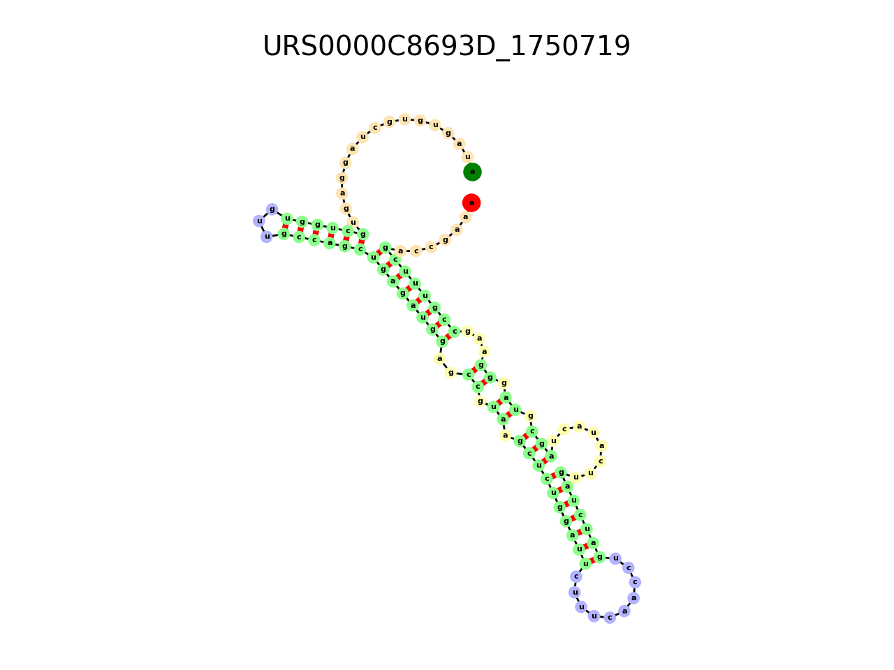 image of the secondary structure of the second Riboswitch match