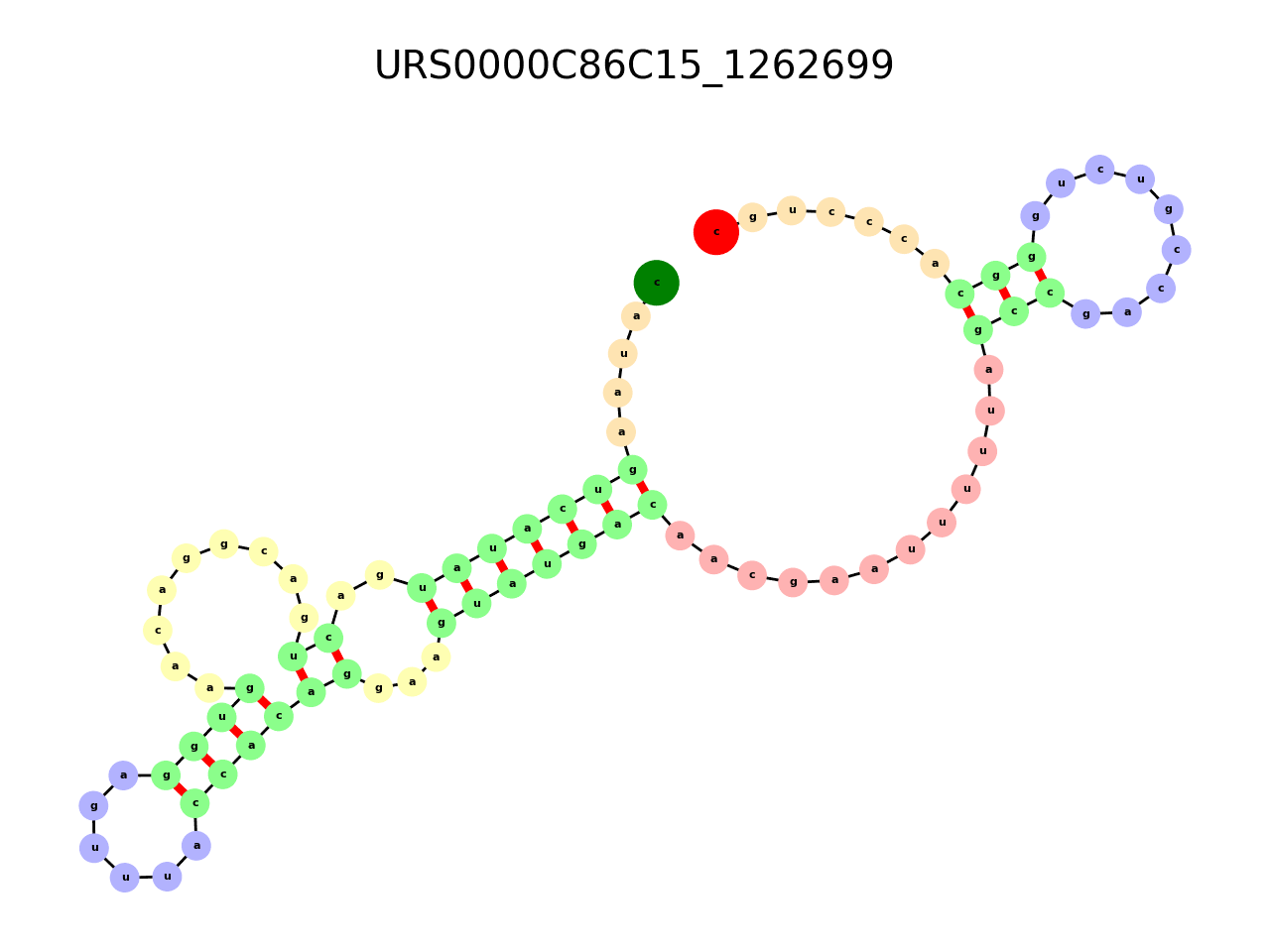 image of the secondary structure of the first Riboswitch match