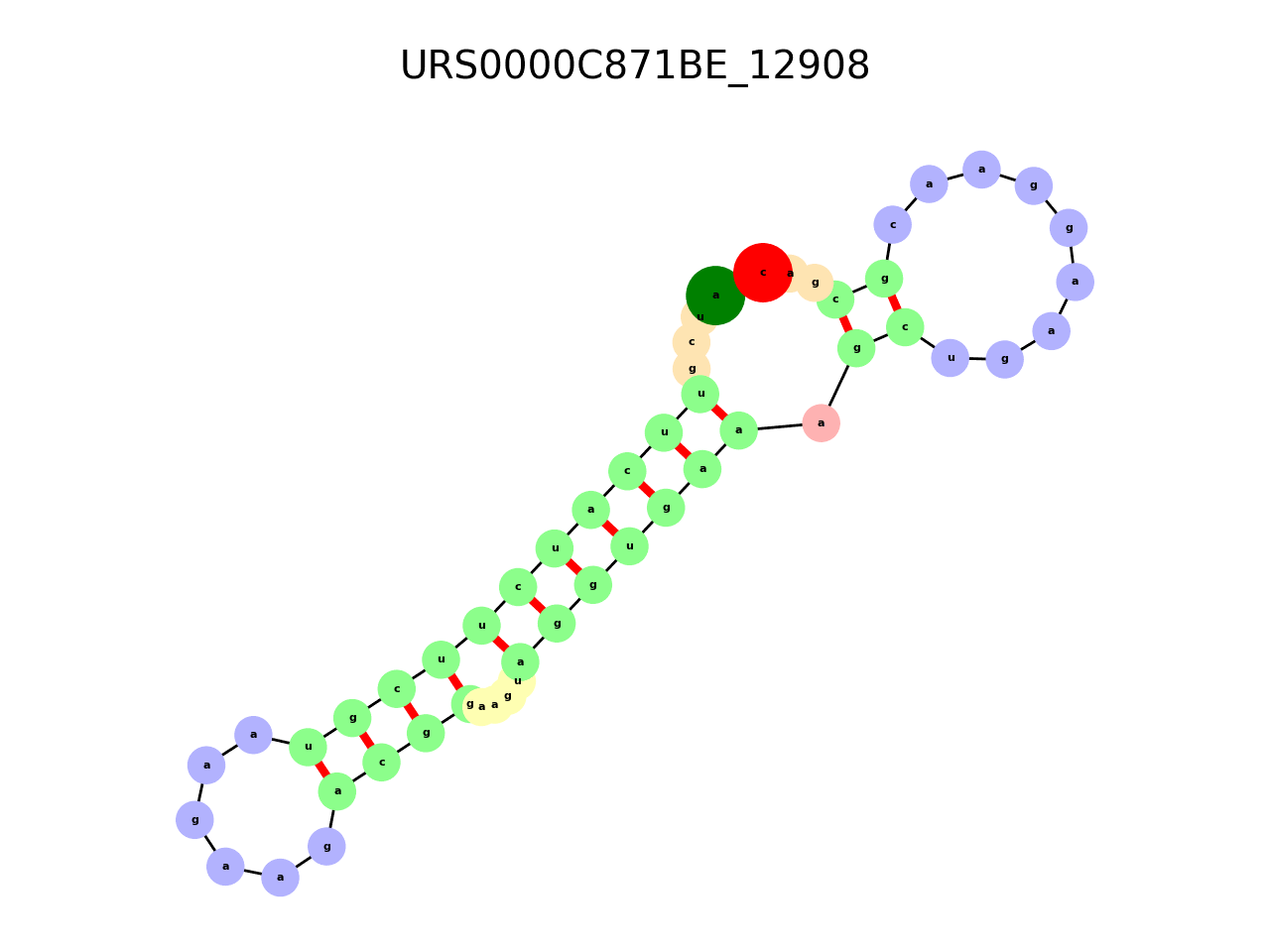 image of the secondary structure of the first Riboswitch match