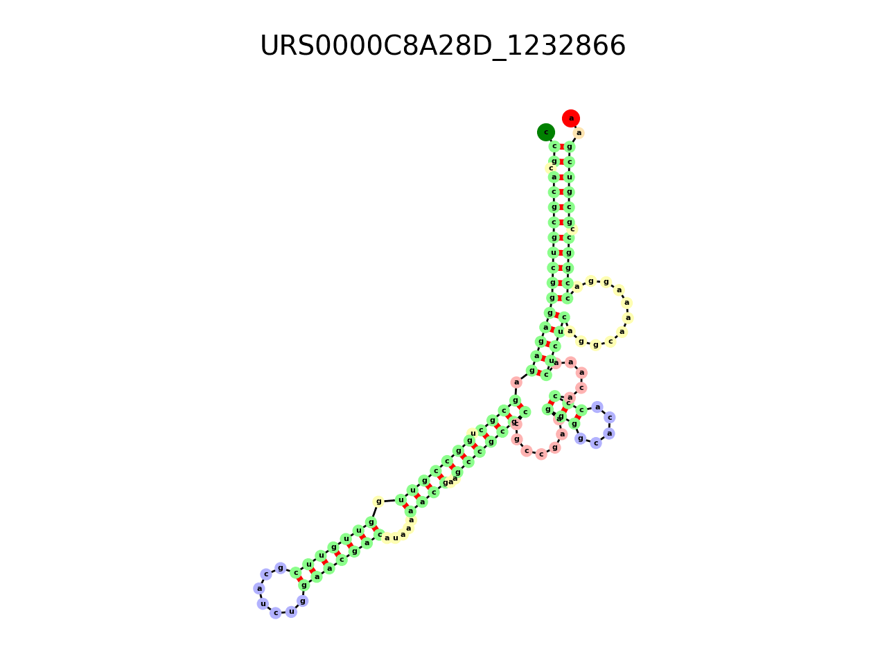 image of the secondary structure of the second Riboswitch match
