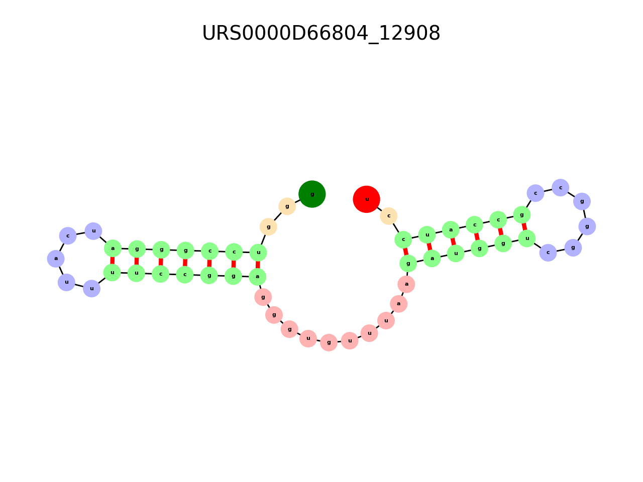 image of the secondary structure of the first Riboswitch match