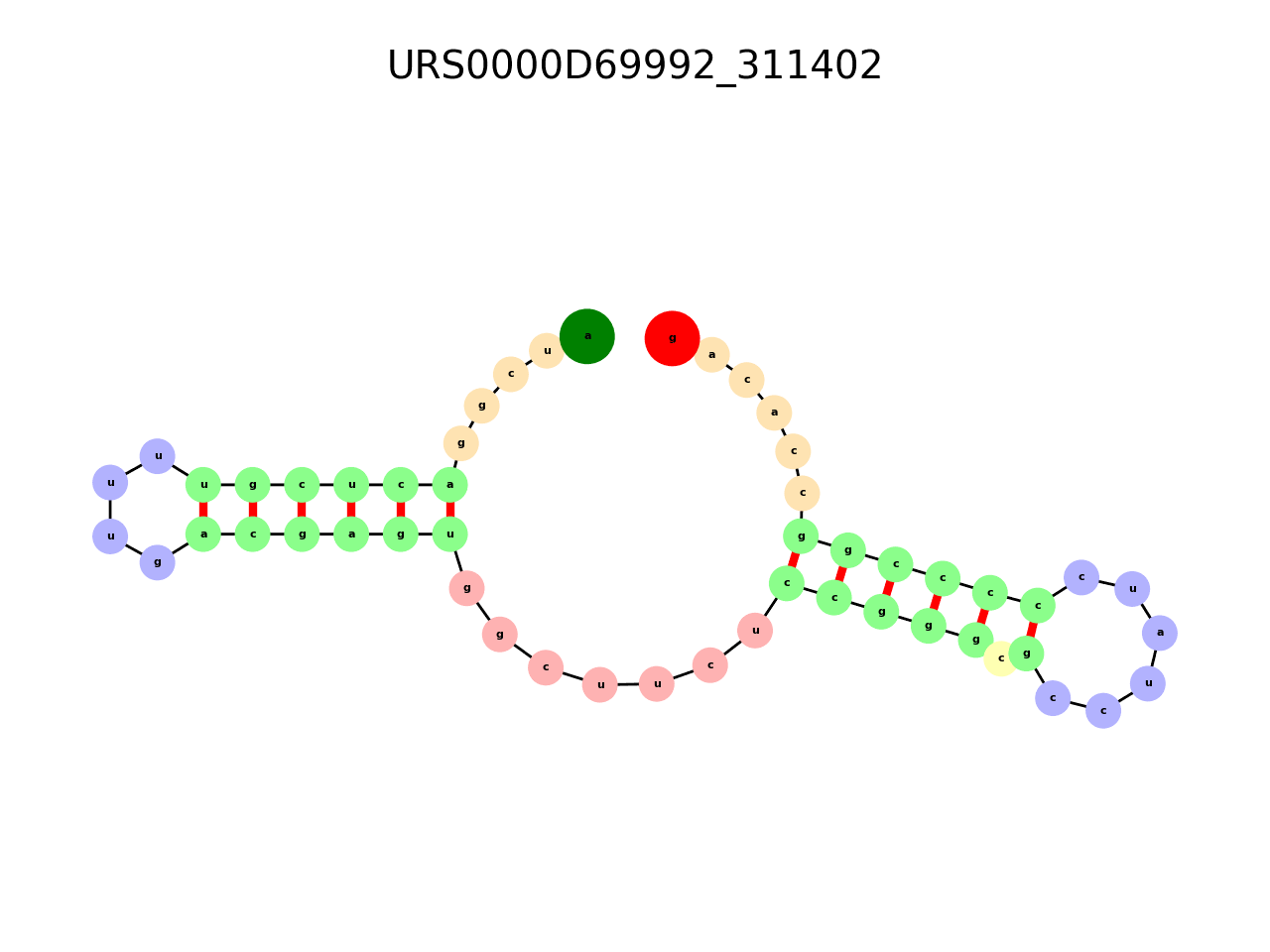 image of the secondary structure of the second Riboswitch match