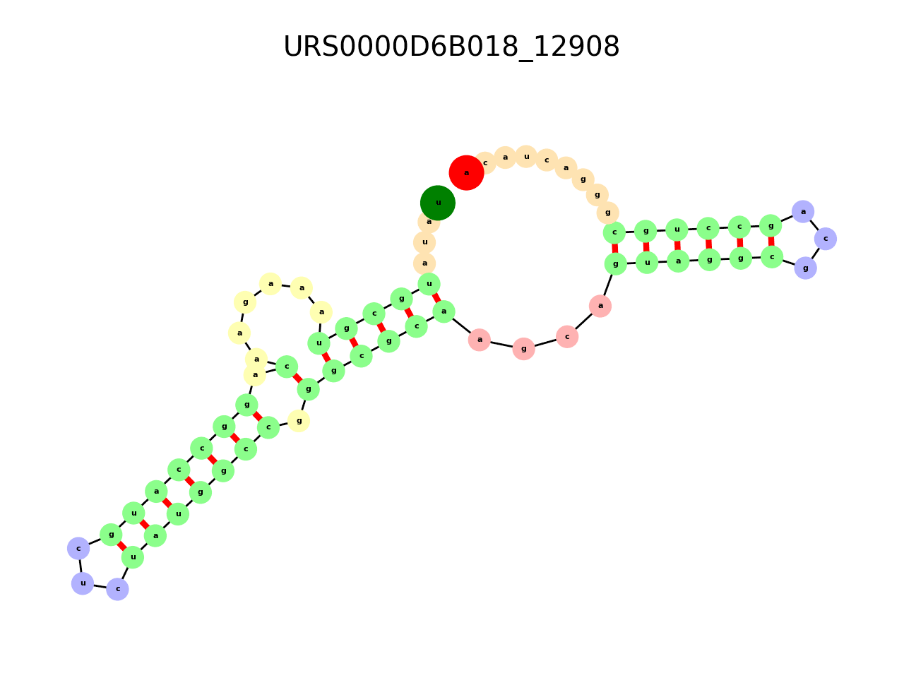 image of the secondary structure of the second Riboswitch match