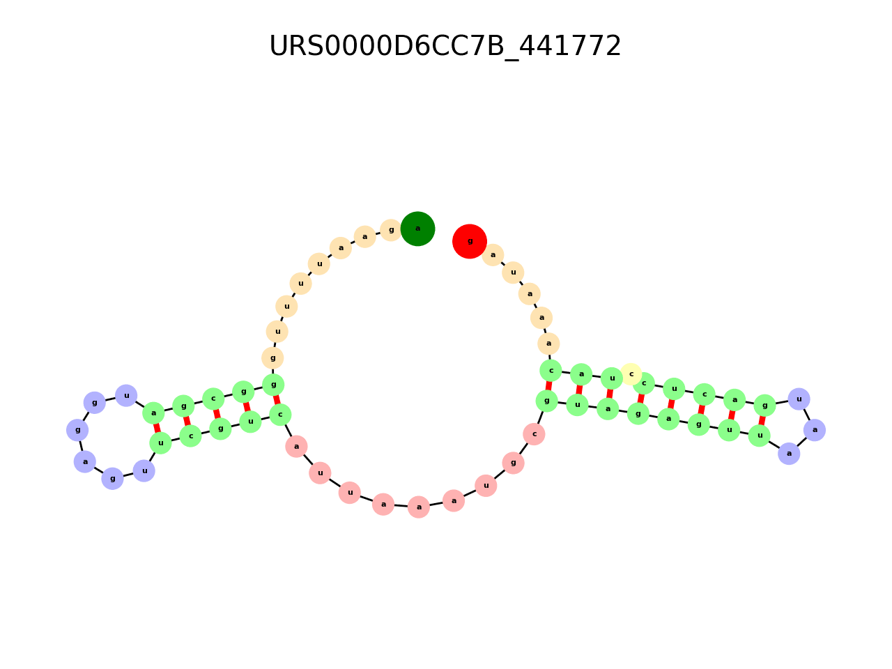 image of the secondary structure of the first Riboswitch match