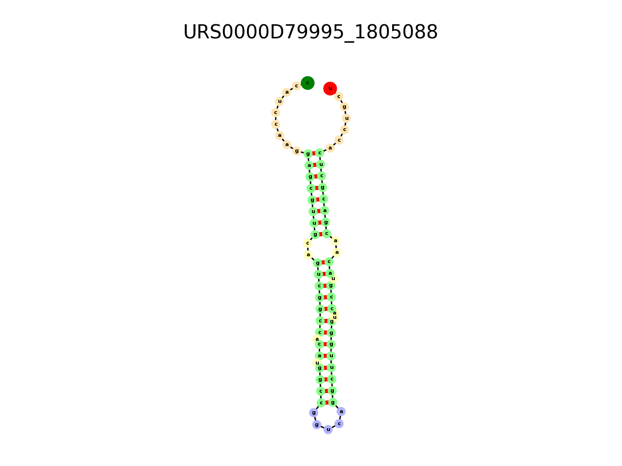 image of the secondary structure of the third Riboswitch match