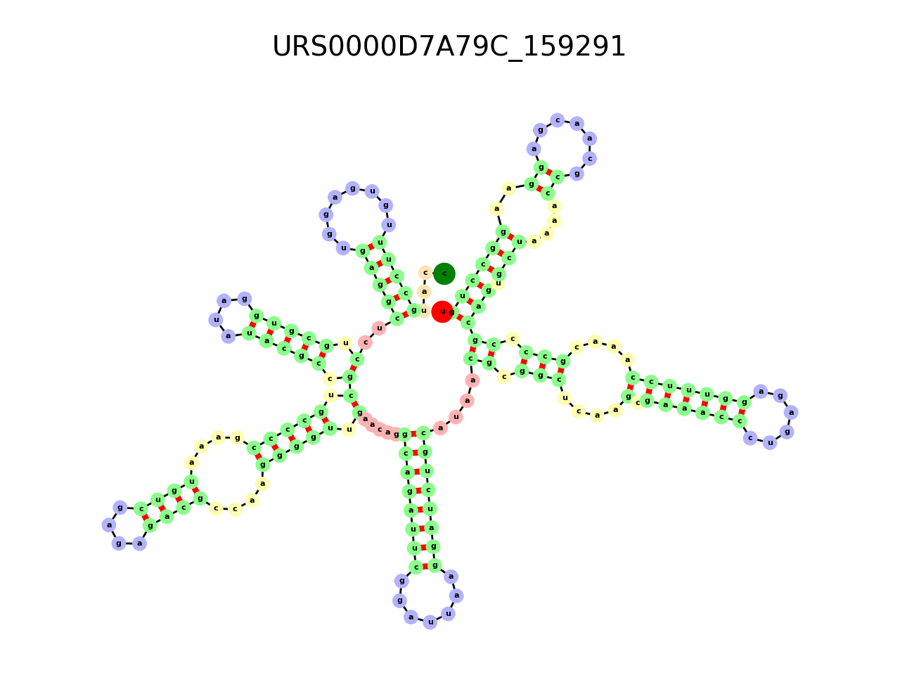 image of the secondary structure of the first Riboswitch match